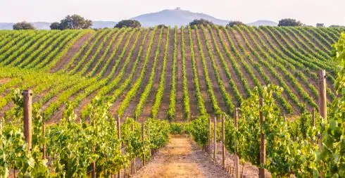 Alentejo countryside – peaceful lifestyle for those relocating to Portugal
